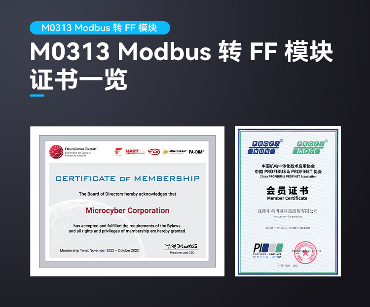 Modbus转 FF 嵌入式模块.jpg