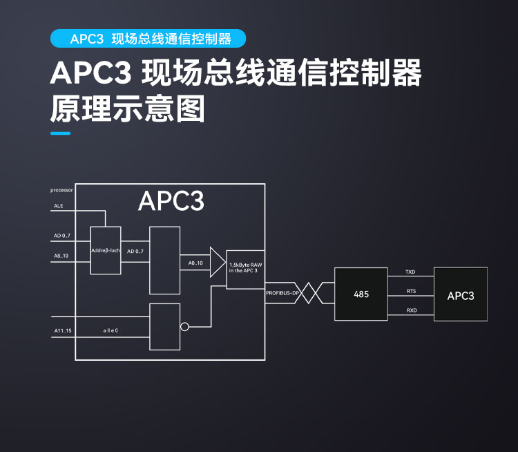 APC3_DP.jpg