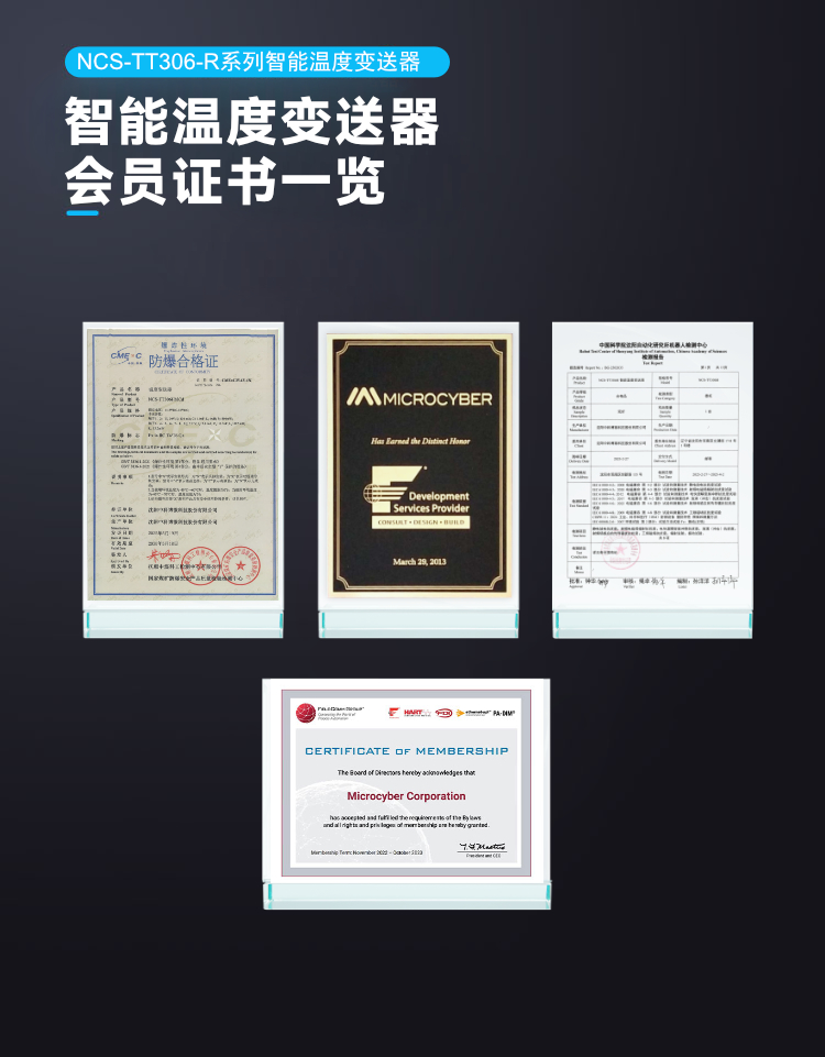 NCS-TT306-R 系列智能温度变送器.jpg